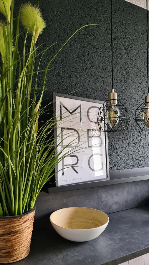 Ferienwohnung, Monteurwohnung, Unterkunft Elise มัคเดอบวร์ก ภายนอก รูปภาพ